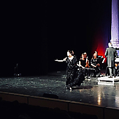 Die große Galanacht der Operette_3